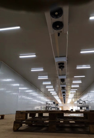 專業專注、經驗豐富